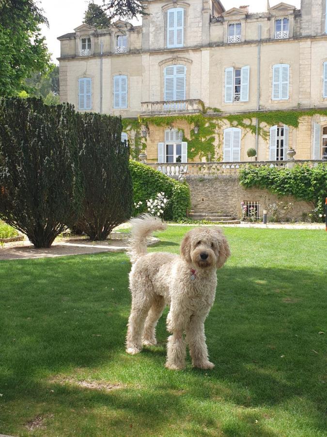 Chateau De Varenne Sauveterre  Eksteriør billede